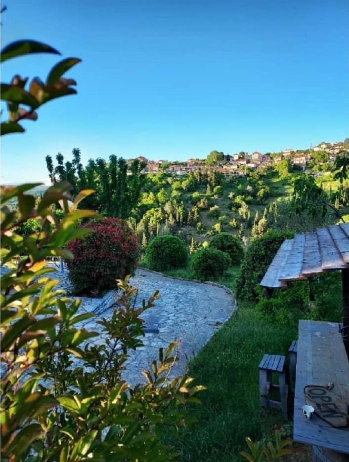 Agnanti Zitsas Hotel Kültér fotó